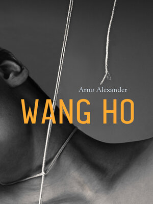cover image of Wang Ho